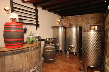 Apartments with terrace Novigrad, Istria