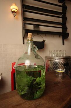 Apartments with terrace Novigrad, Istria