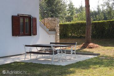 Appartamenti accanto al mare Daila - Dajla, Novigrad - 3376