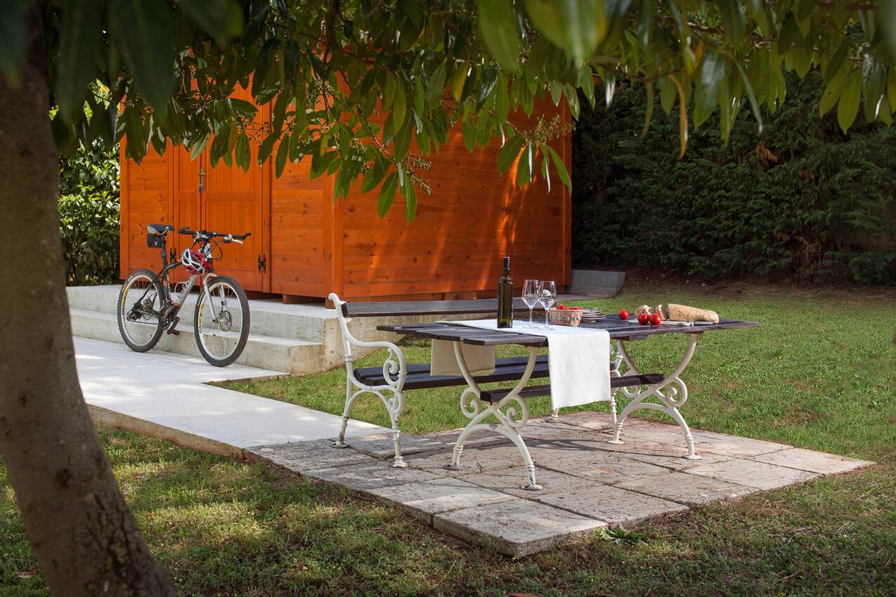 Appartamenti accanto al mare Daila - Dajla, Novigrad - 3382