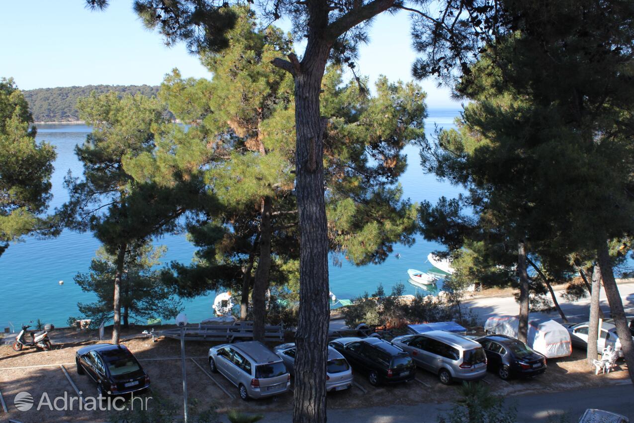 A-3444-a - Private accommodation - Apartments by the sea Mali Lošinj, Lošinj