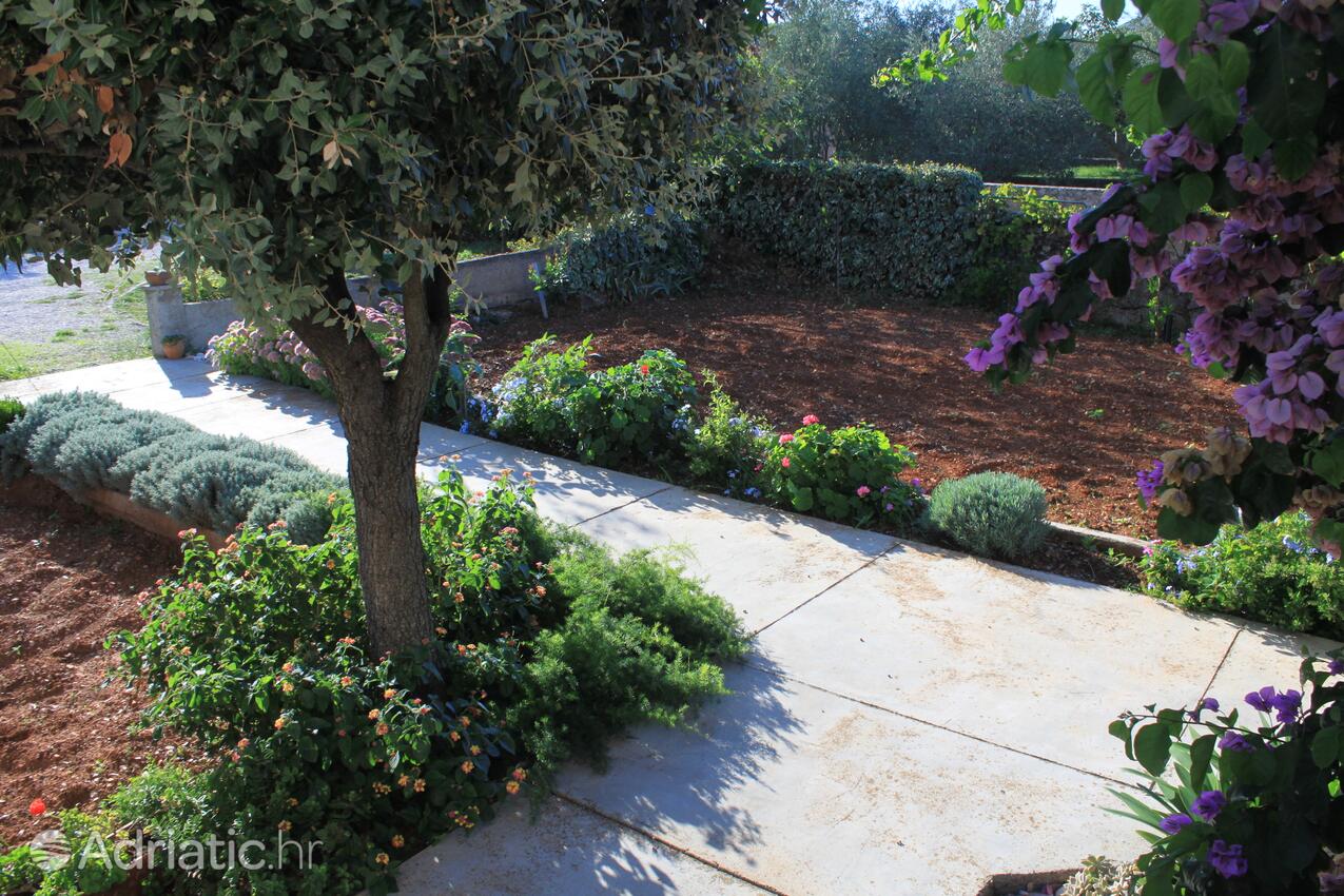 Apartments by the sea Ugljan - 348