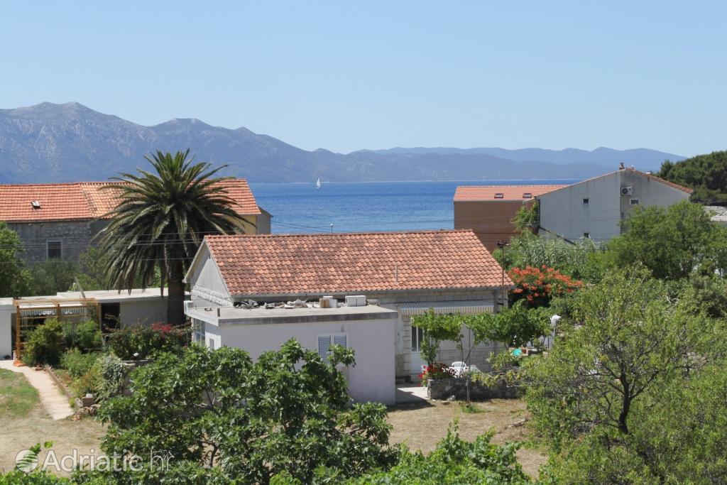 A-3589-a - Private accommodation - Apartments by the sea Sućuraj, Hvar