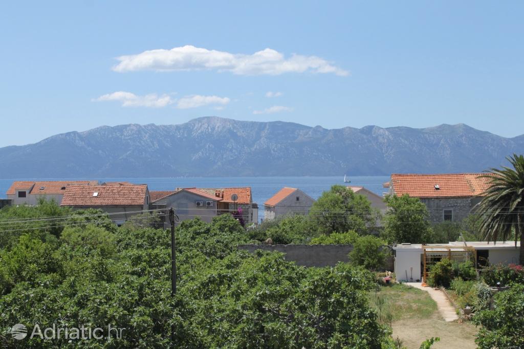 A-3589-a - Private accommodation - Apartments by the sea Sućuraj, Hvar