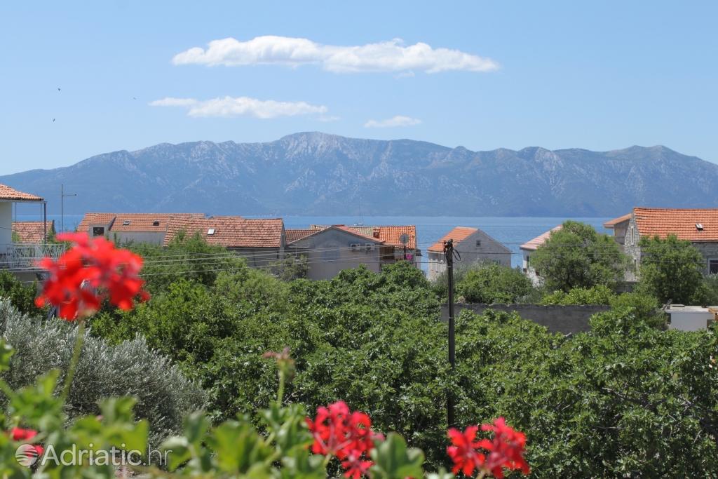A-3589-a - Private accommodation - Apartments by the sea Sućuraj, Hvar