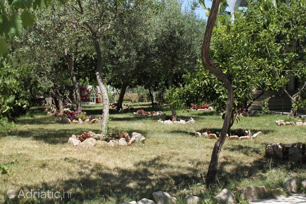 Courtyard - Apartments by the sea Sućuraj, Hvar