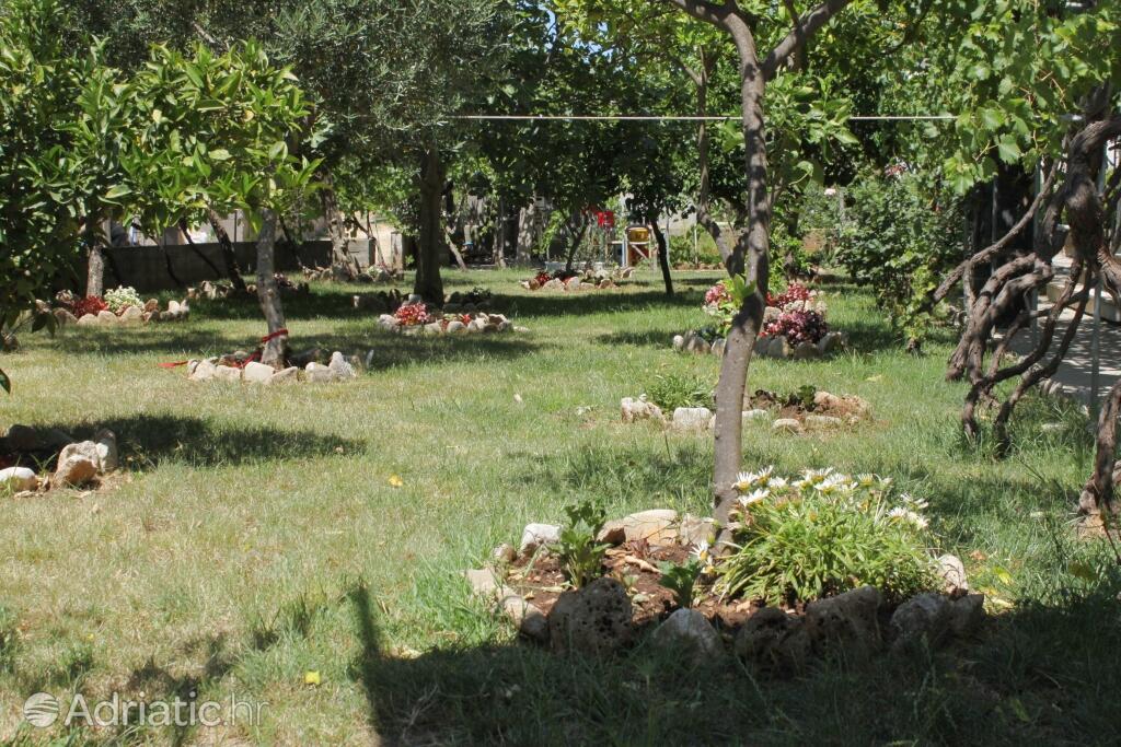 Courtyard - Apartments by the sea Sućuraj, Hvar