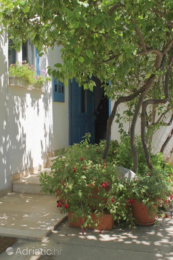 Courtyard - Apartments by the sea Sućuraj, Hvar