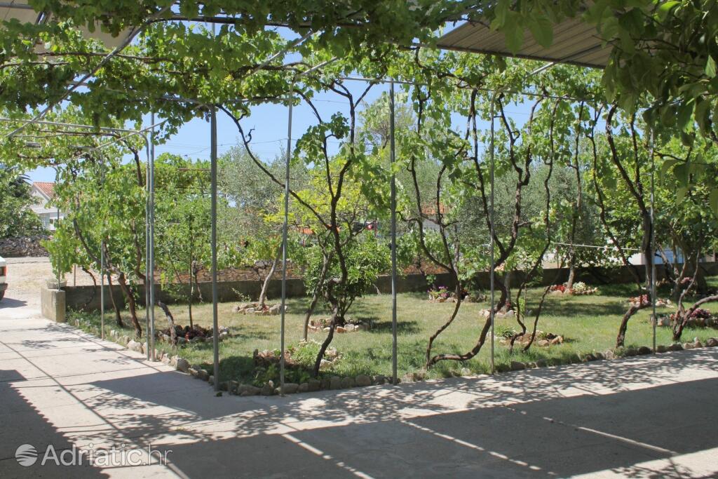 Courtyard - Apartments by the sea Sućuraj, Hvar