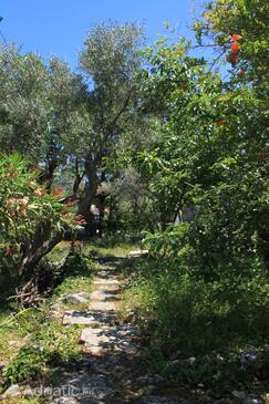 Apartmani uz more Valun, Cres - 386