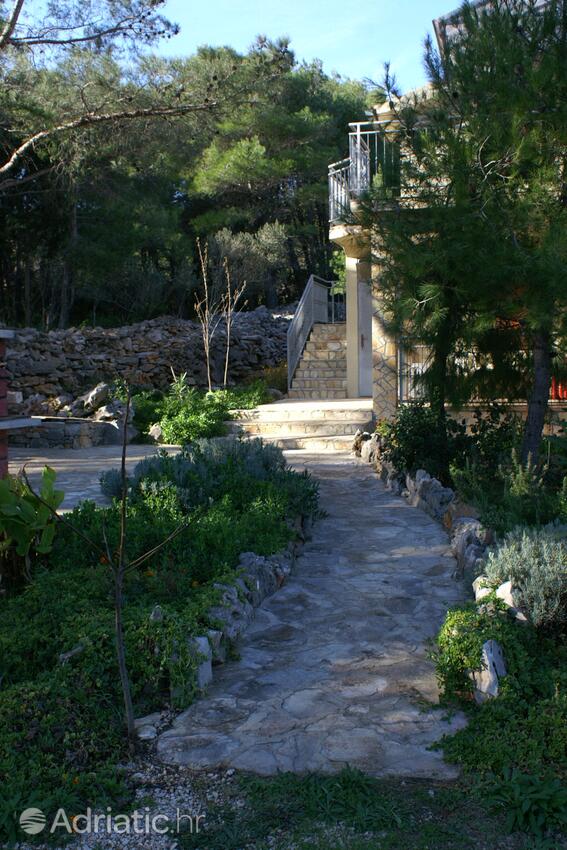 Courtyard - Apartments with a parking space Mudri Dolac, Hvar