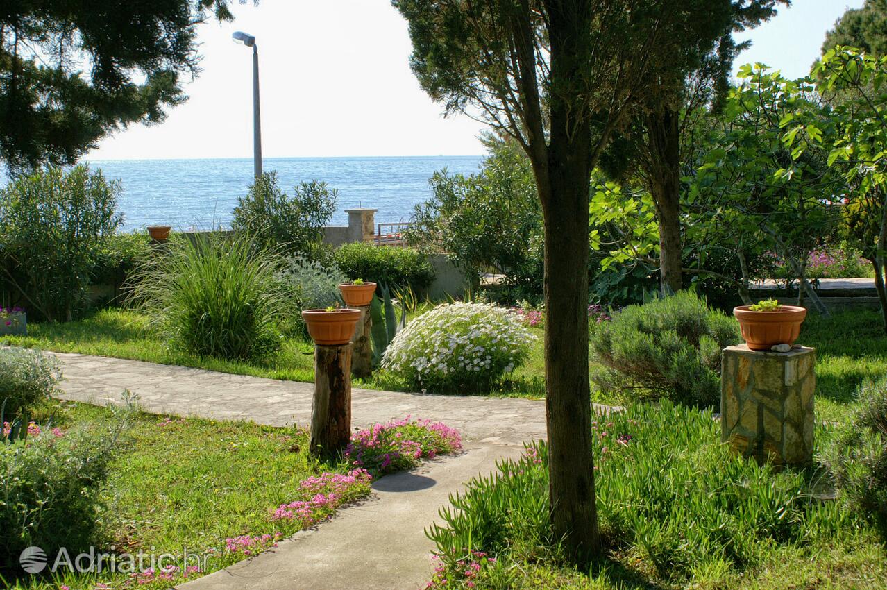 Apartments by the sea Novalja, Pag - 4052