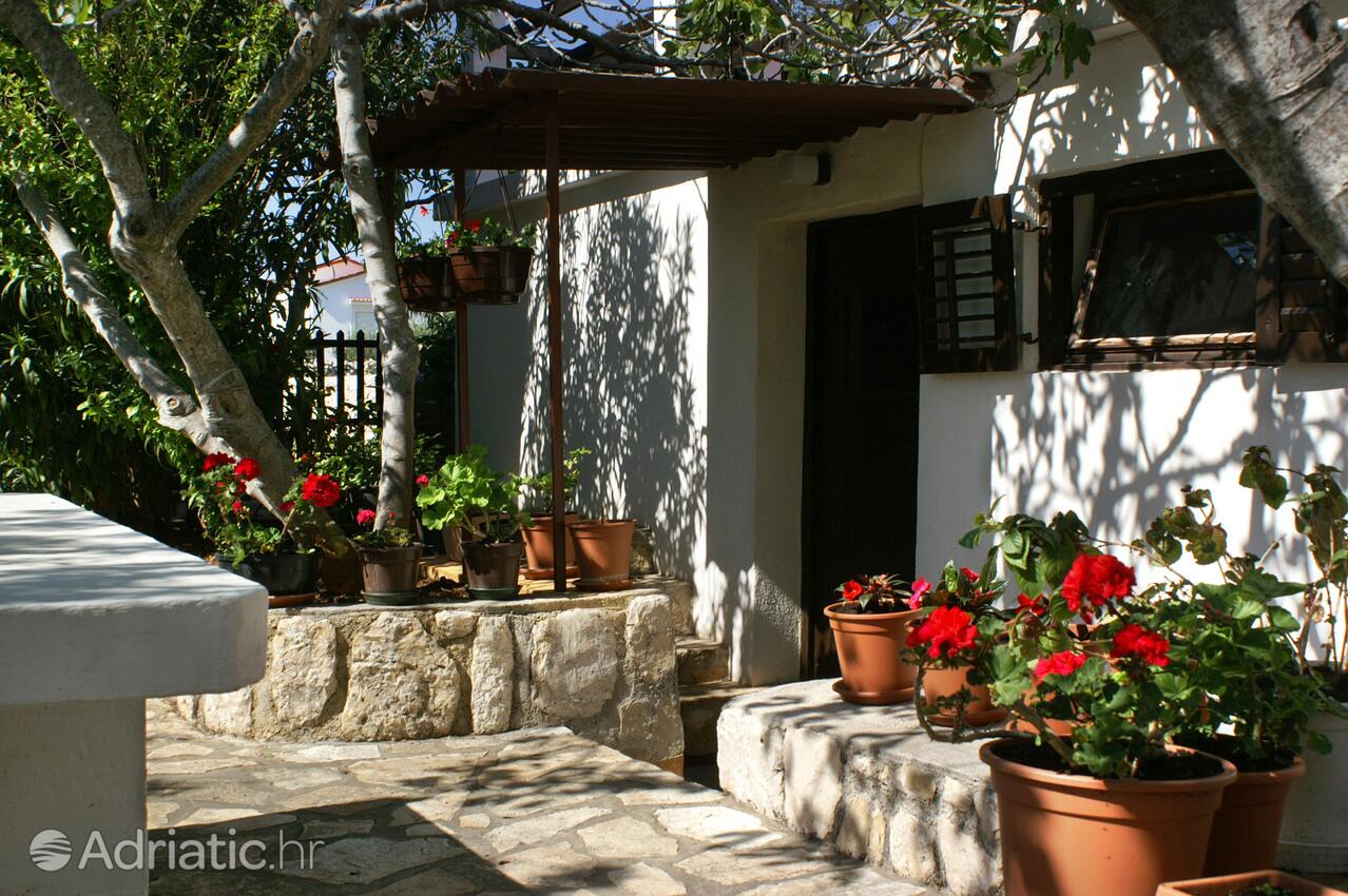 Giardino - Appartamenti con parcheggio Mandre, Pago - Pag