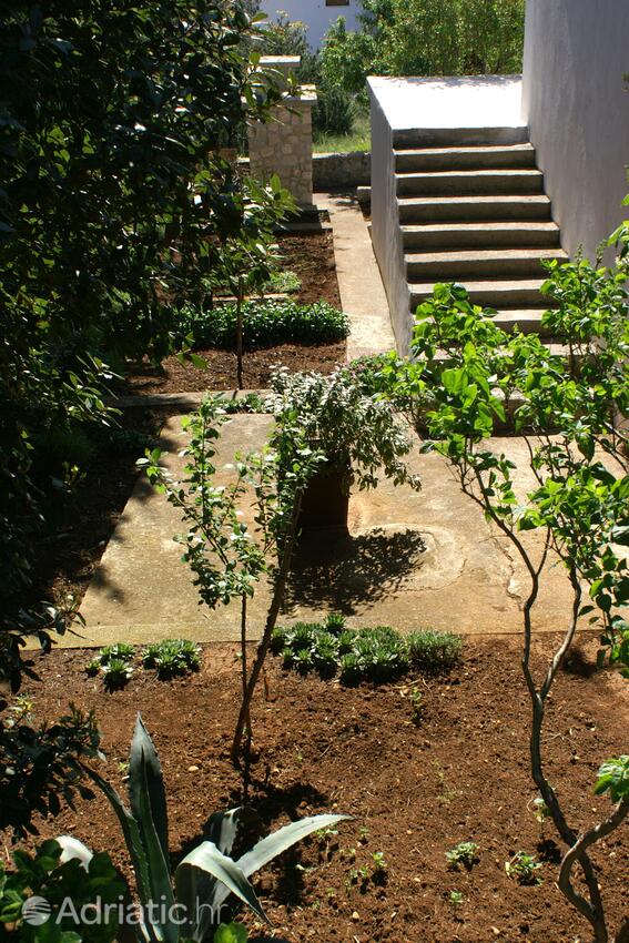 Giardino - Appartamenti con parcheggio Mandre, Pago - Pag