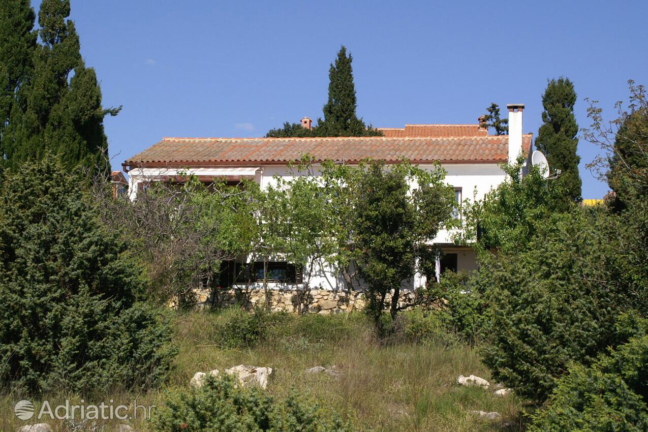 Alloggio - Appartamenti con parcheggio Mandre, Pago - Pag