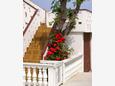 Stara Novalja, Pag, Giardino 4099 - Appartamenti affitto vicino al mare.