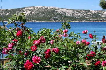 Apartments by the sea Stara Novalja, Pag - 4106