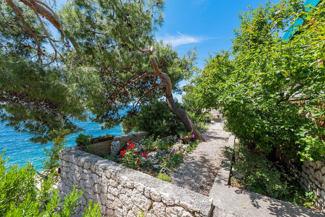 Giardino - Appartamenti accanto al mare Bilo, Capocesto - Primošten