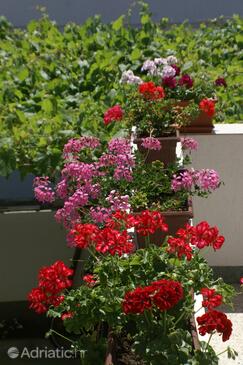 Apartments with parking space Vodice - 4192
