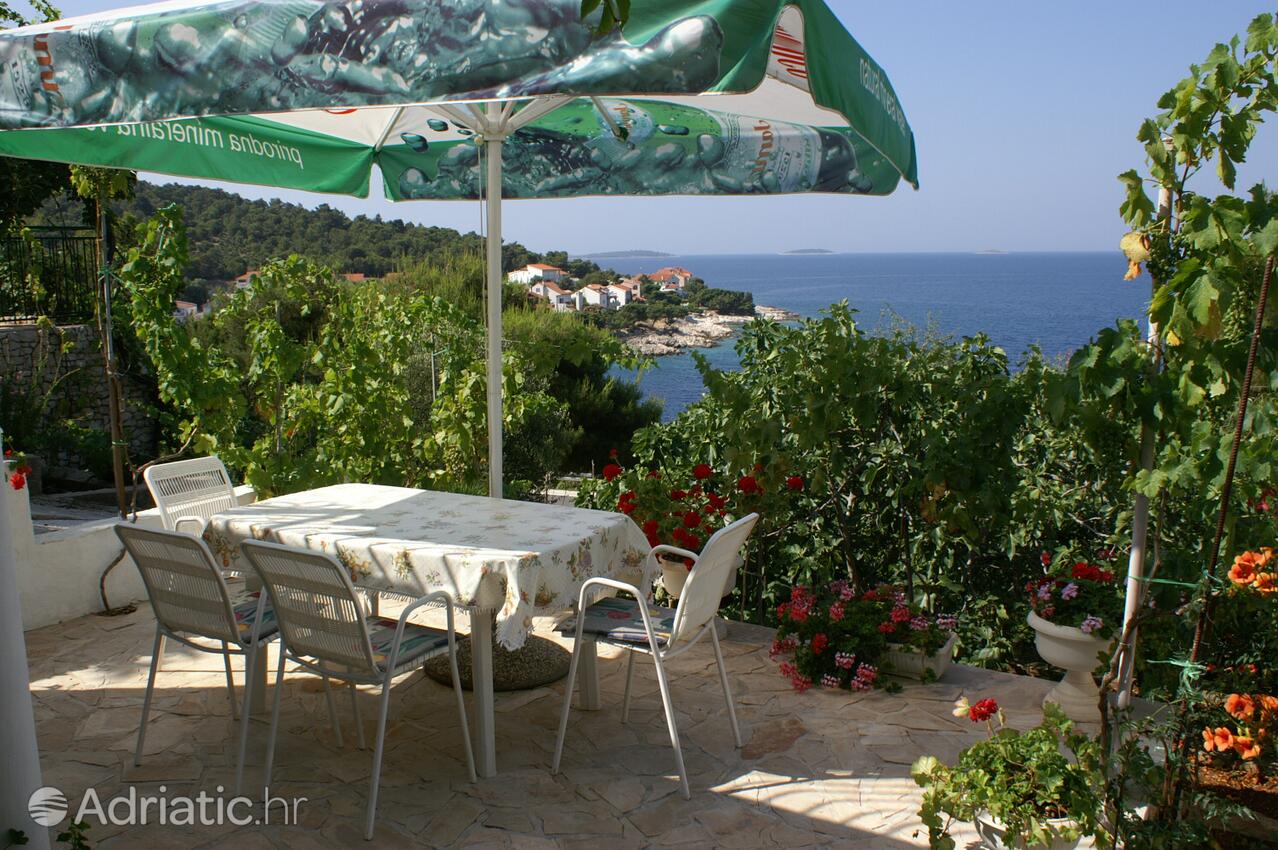 Appartamenti accanto al mare Bilo, Capocesto - Primošten - 4208