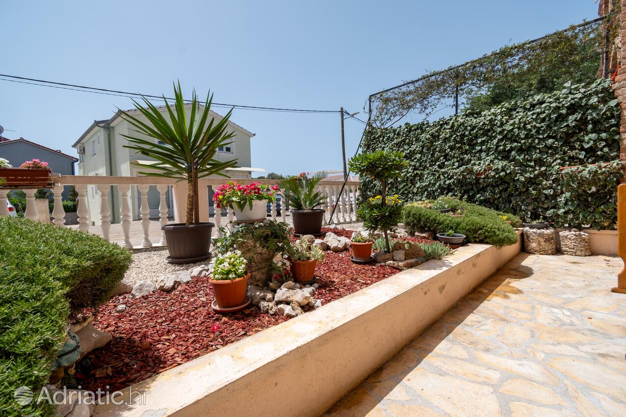 Giardino - Appartamenti e camere con parcheggio Zaravecchia - Biograd na Moru, Biograd