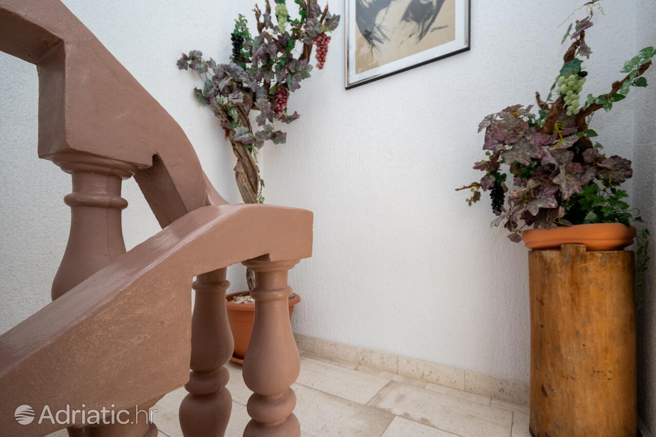 Giardino - Appartamenti e camere con parcheggio Zaravecchia - Biograd na Moru, Biograd
