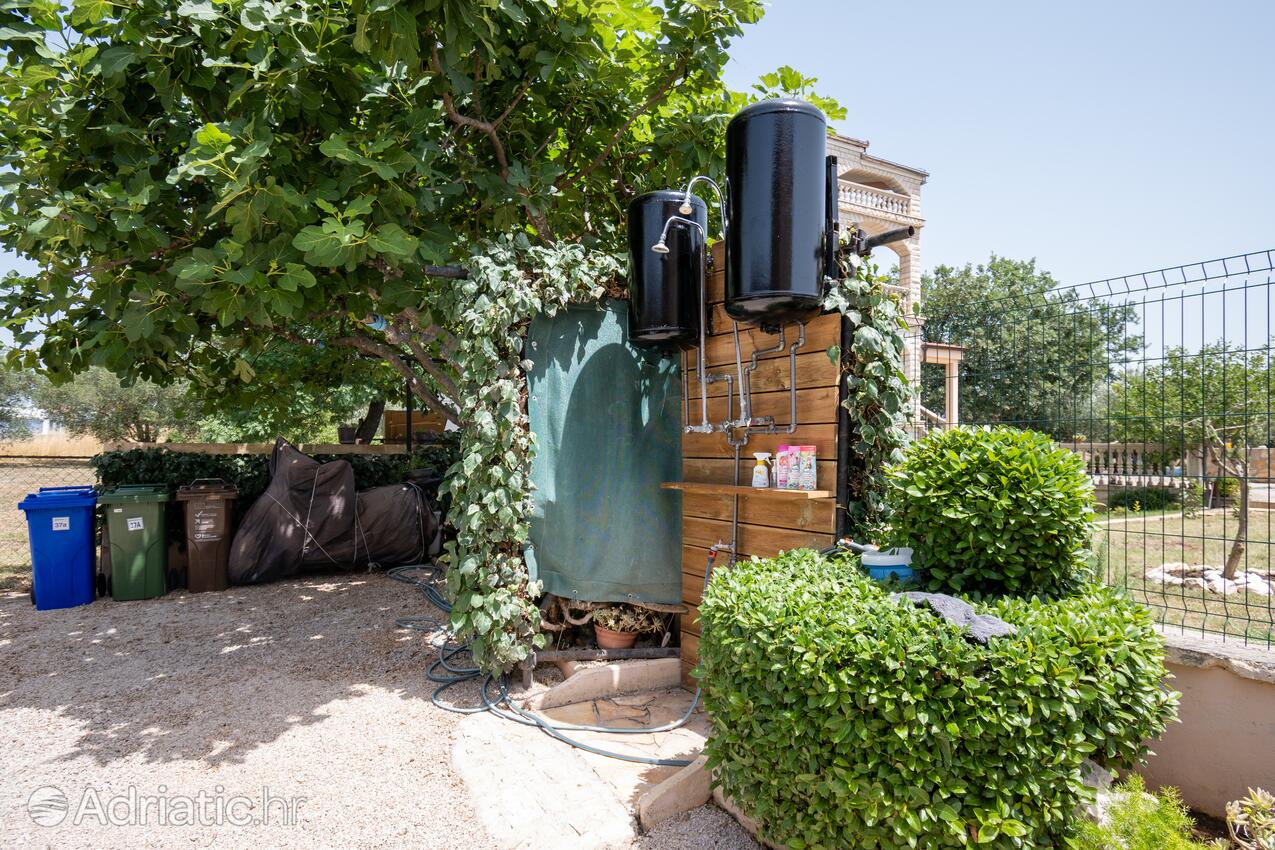 Giardino - Appartamenti e camere con parcheggio Zaravecchia - Biograd na Moru, Biograd