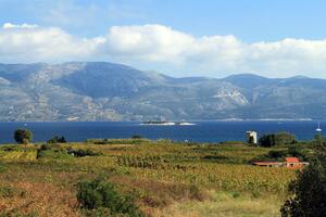 1-Zimmer-Ferienwohnung Lumbarda, Korcula (A-4376-b(