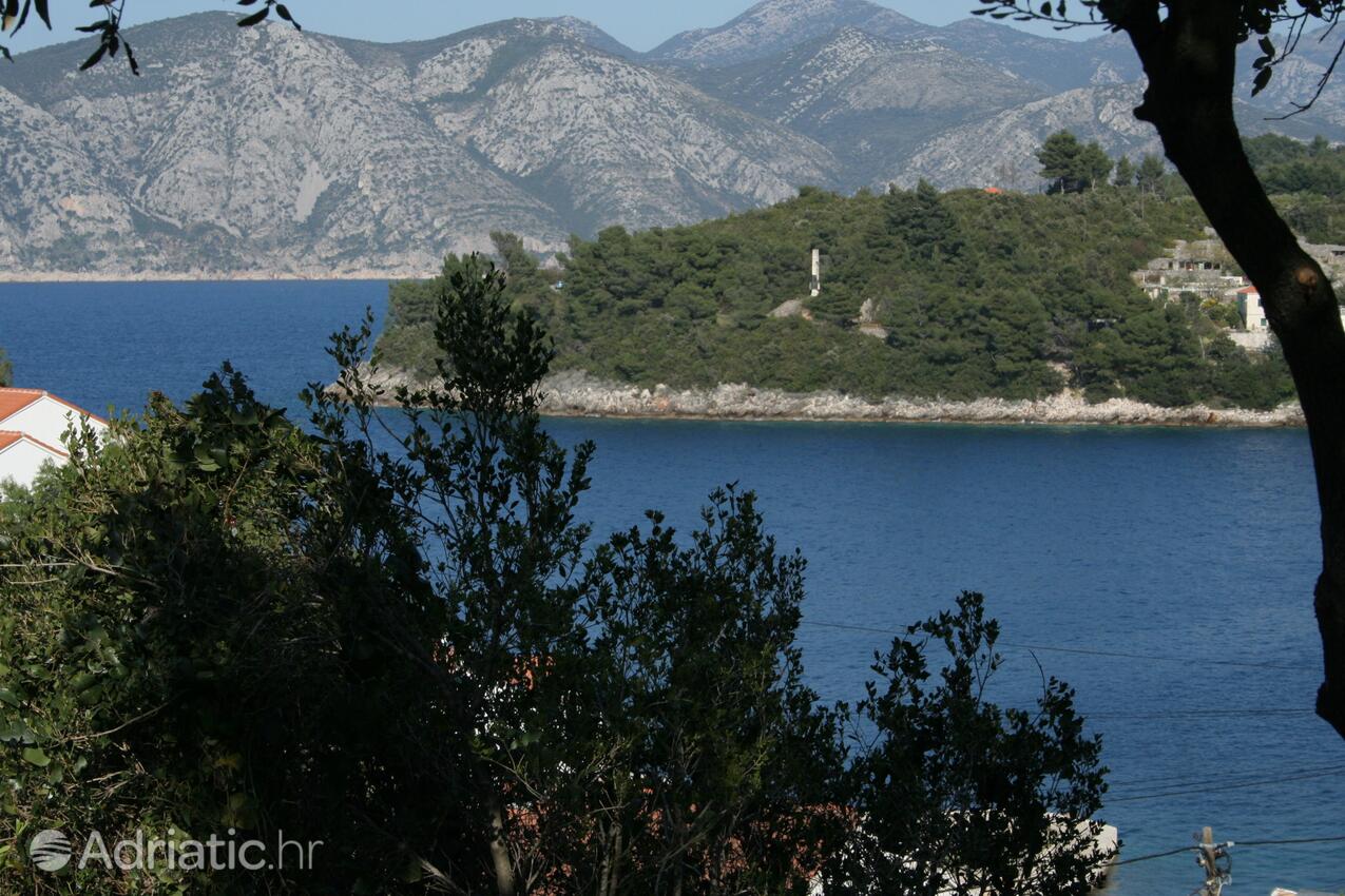 Apartments by the sea Račišće, Korčula - 4380