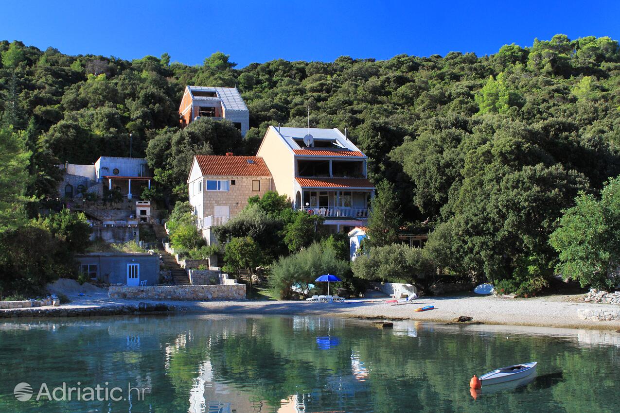 Apartmaji ob morju Zaliv Vrbovica, Korčula - 4390