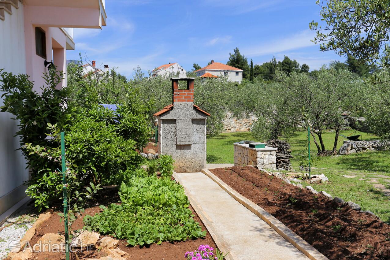 Courtyard - Apartments by the sea Lumbarda, Korčula