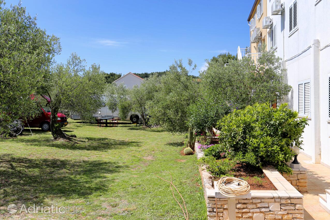 Courtyard - Apartments by the sea Lumbarda, Korčula