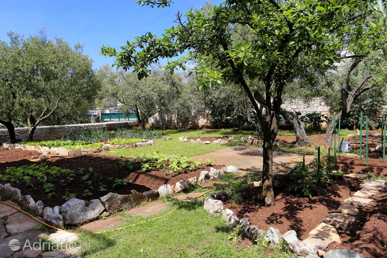 Courtyard - Apartments by the sea Lumbarda, Korčula