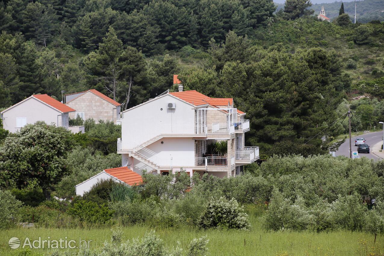 Property - Apartments by the sea Lumbarda, Korčula