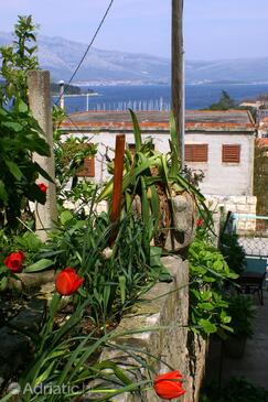 Apartmány s internetom Lumbarda, Korčula - 4400