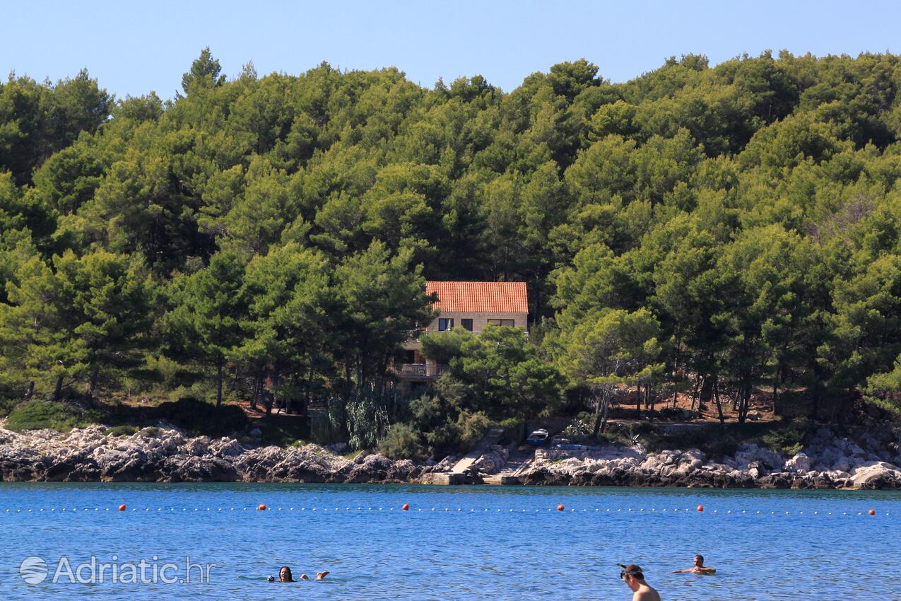 Alloggio - Appartamenti accanto al mare con piscina Lombarda - Lumbarda, Curzola - Korčula