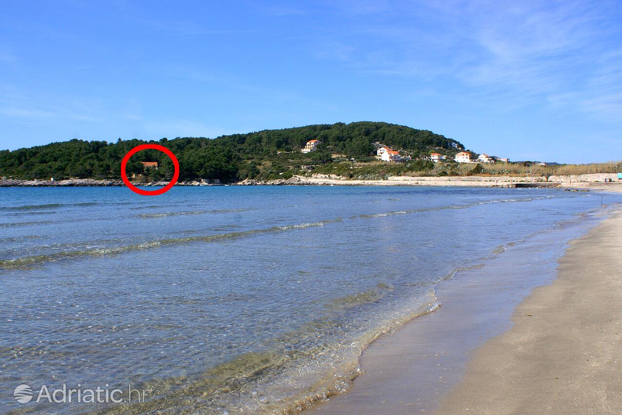 Alloggio - Appartamenti accanto al mare con piscina Lombarda - Lumbarda, Curzola - Korčula