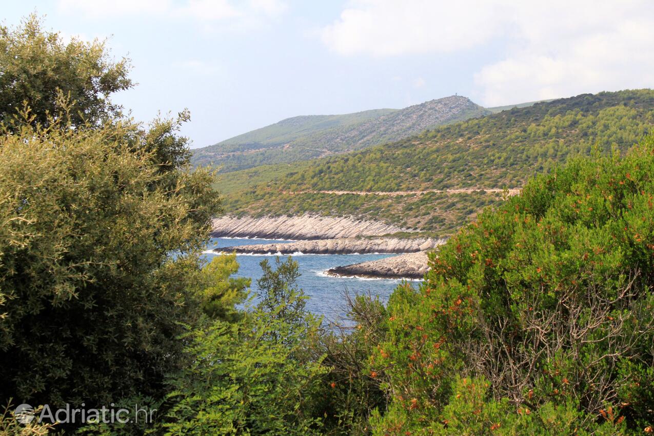 A-4420-a - Alloggi privati - Appartamenti con parcheggio Zavalatica, Curzola - Korčula