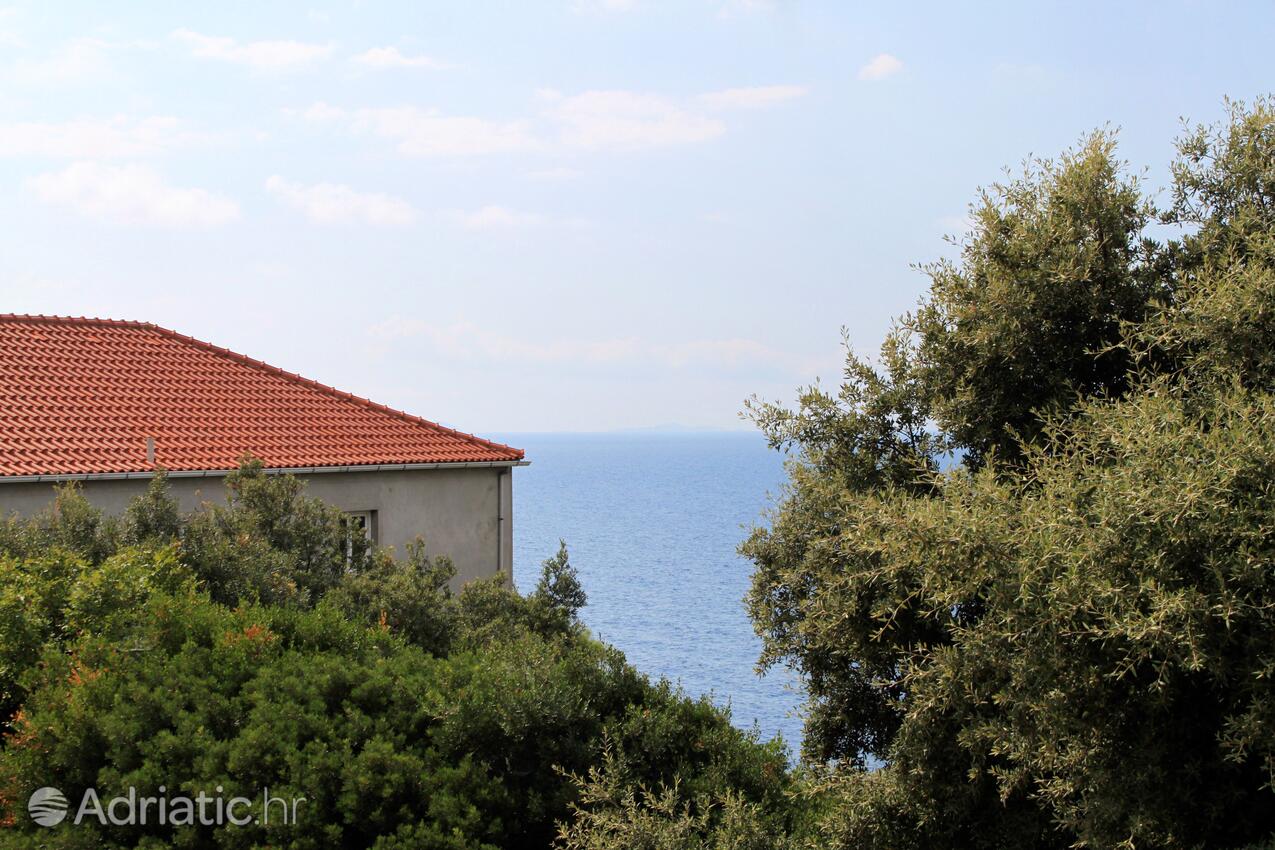 A-4420-a - Alloggi privati - Appartamenti con parcheggio Zavalatica, Curzola - Korčula