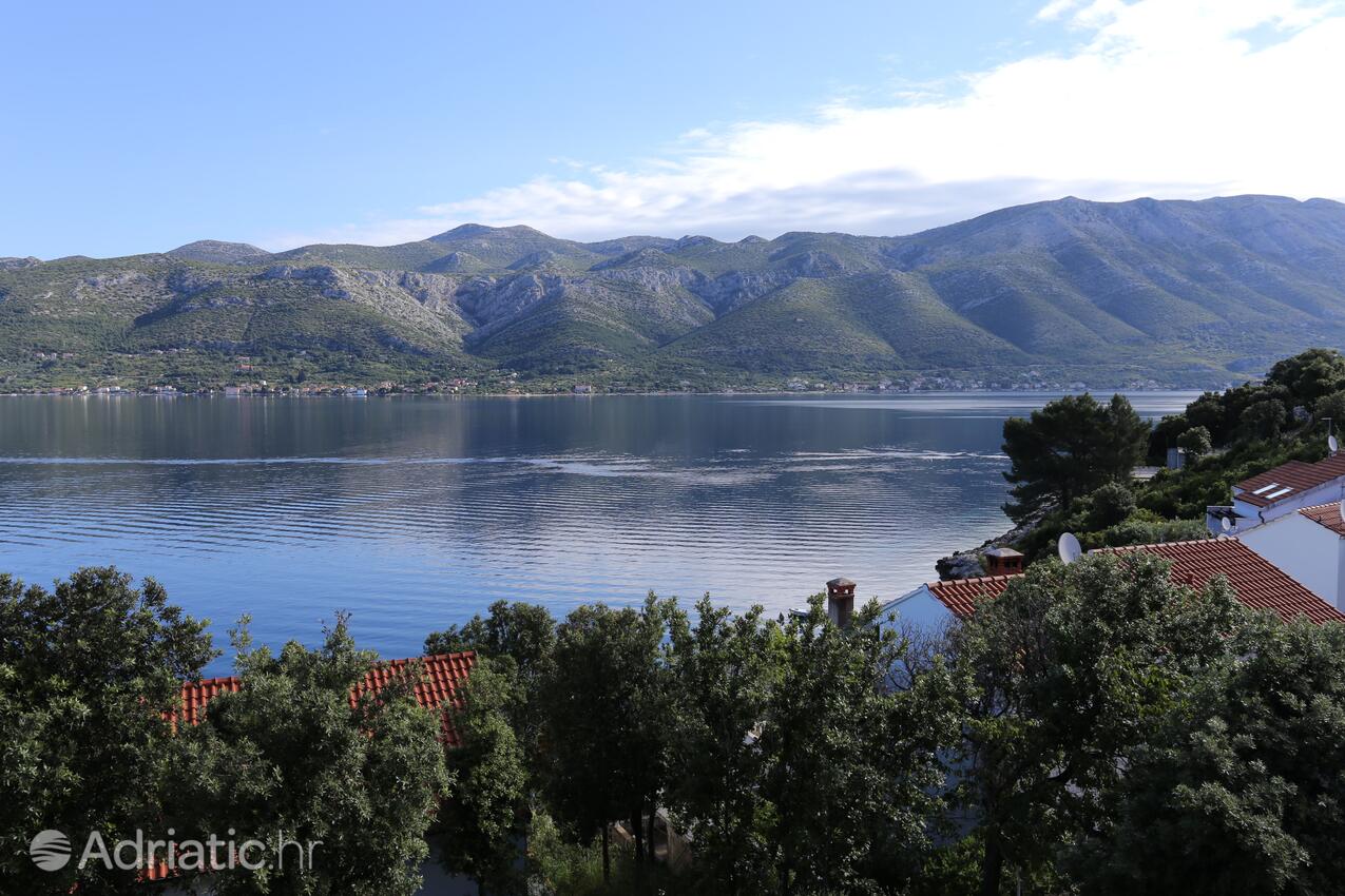 A-4432-b - Private accommodation - Apartments by the sea Tri Žala, Korčula