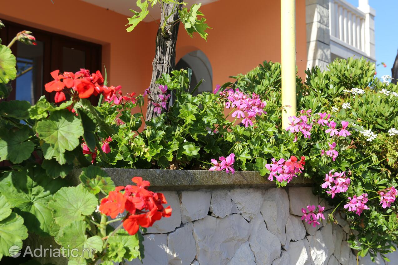 Courtyard - Apartments by the sea Tri Žala, Korčula