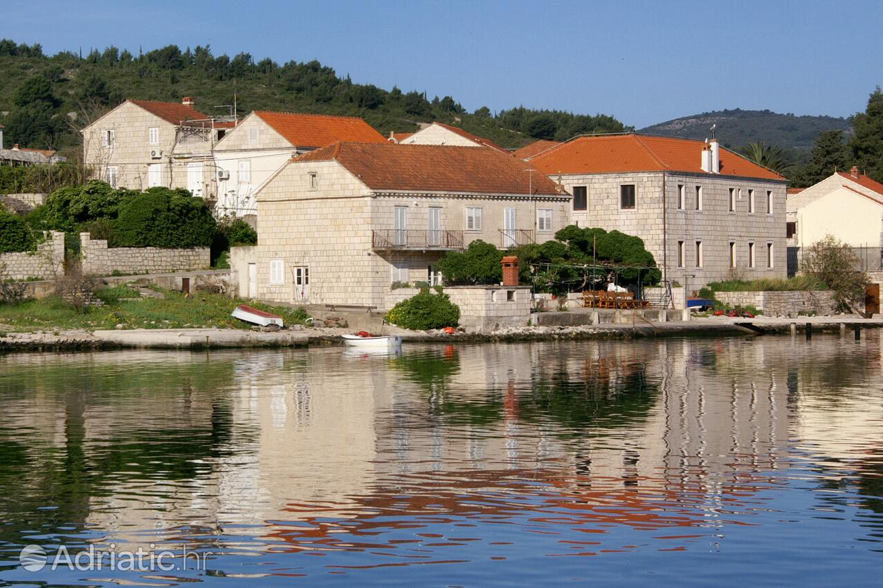 Apartments by the sea Lumbarda, Korčula - 4435