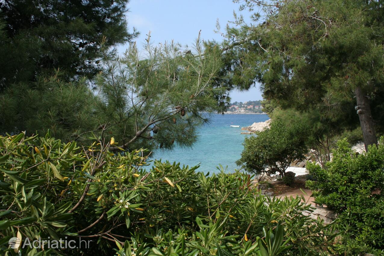 A-4484-c - Private accommodation - Apartments by the sea Prižba, Korčula