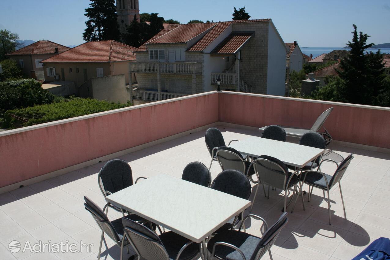 Courtyard - Apartments with a parking space Orebić, Pelješac