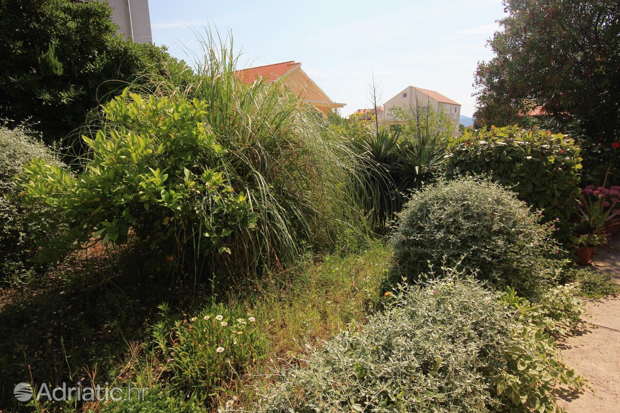 Apartamentos con parking Orebic, Peljesac - 4501