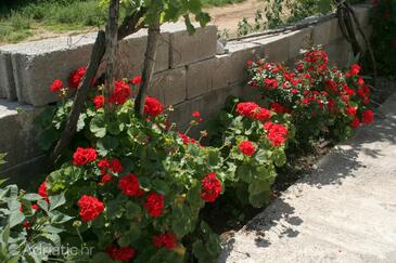 Apartments by the sea Trpanj, Pelješac - 4510