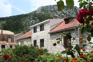 Apartments by the sea Trstenik, Pelješac - 4567