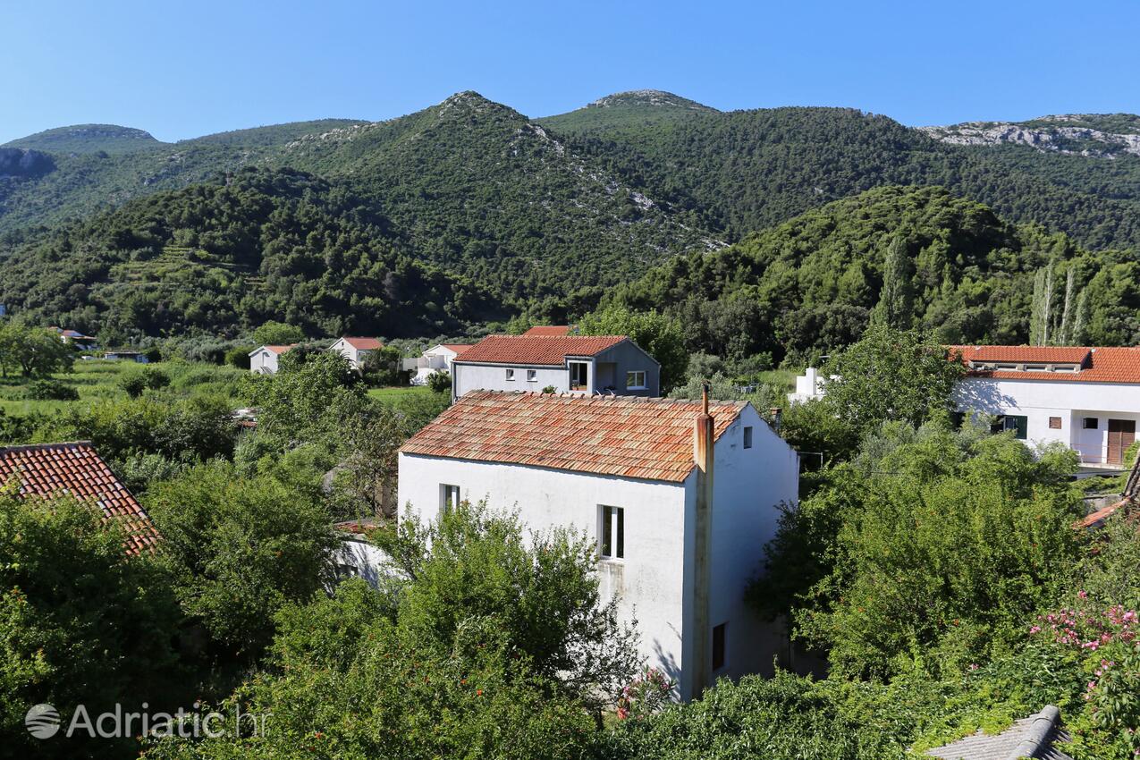 AS-4576-c - Alloggi privati - Appartamenti e camere accanto al mare Zuljana, Sabbioncello - Pelješac
