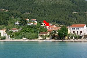 Apartamentos y habitaciones junto al mar Zuljana, Peljesac - 4576
