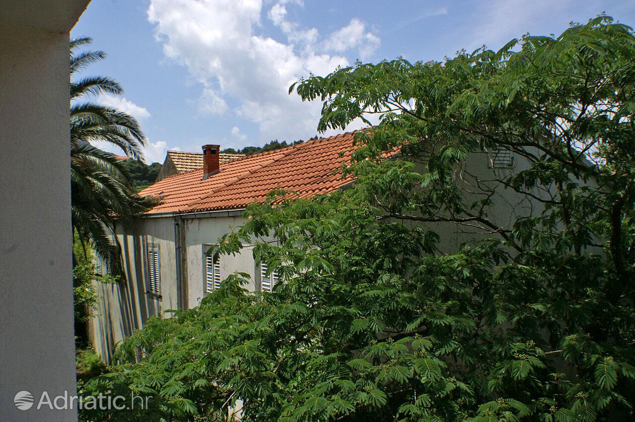 S-4576-a - Alloggi privati - Appartamenti e camere accanto al mare Zuljana, Sabbioncello - Pelješac